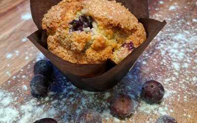 Muffin « Maison » aux Myrtilles